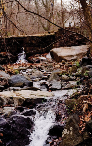 Dam photograph by Michael W. Fincham