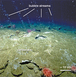 Methane seeps bubbling up. Credit: Nature Geoscience, 7:657 (2014)
