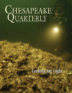 Oyster bar, cover of Chesapeake Quarterly Volume 7, Number 3. Photograph, Michael Eversmier