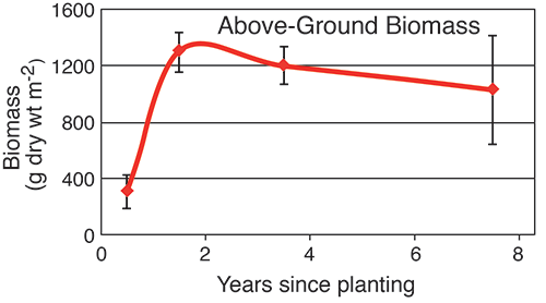 Above-ground biomass. Graph source: Data courtesy of Lorie Staver